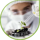 Натуральные растительные препараты